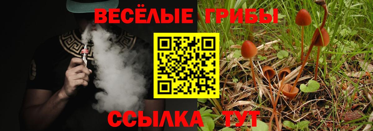 Галлюциногенные грибы Magic Shrooms  Вход с VPN  Кудымкар 